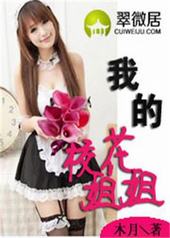 我的校花姐姐柳沁月